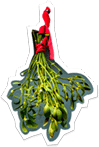 Mistletoe hanging by a red ribbon.